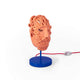 Seletti Magna Graecia Tischleuchte Ulysse Maske Terracotta Designlampe mit blauem Fuß und rotem Kabel, stilisierte Odysseus-Maske als Tischleuchte