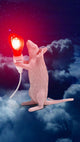 Seletti Mouse Lamp Step LED-Tischleuchte USB Herz rosa Maus mit leuchtendem roten Herz in Pfoten, Designerleuchte von Marcantonio Raimondi Malerba