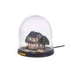 Seletti My little Neighbour LED Tischleuchte, kleine Haus unter Glaskuppel mit Lichtdetails.