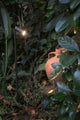 Seth LED Spießstrahler Schwarz 40° IP44 beleuchtet eine Terrakotta-Vase im Garten.