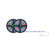 SimpLED Motion-Strip RGB Basis-Set 10m