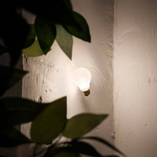 Slamp recessed wall lamp light bulb Idea Applique White on a wall with plants in the foreground.