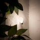 Slamp Einbau-Wandlampe Glühbirne Idea Applique Weiß an einer Wand mit Pflanzen im Vordergrund.
