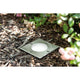 Special EBL Set Boden IP67 eckig GU10 3,5W 140x140mm Edelstahl in Garteninstallation umgeben von Pflanzen.