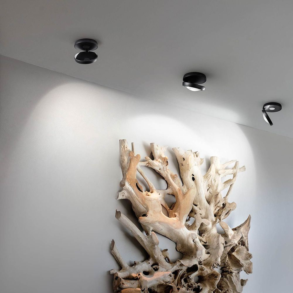 Moderne Lodes Nautilus LED Deckenlampe strahlt fokussiertes Licht auf eine kunstvolle Holzskulptur.