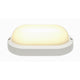 Terang 2 LED Outdoor Wand- und Deckenleuchte 3000K Weiß, moderne Bauleuchte mit satiniertem Rundglas.