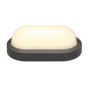 TERANG 2 Leuchte oval anthrazit 3000K Wand- und Deckenleuchte mit LED und satiniertem Rundglas