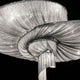 Terzani Epoque LED Hängeleuchte Ø 136cm mit elegantem Design und filigranen Lichtdetails.