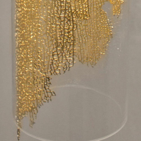 Detailansicht der Terzani Frame Design-Wandlampe mit goldener Korallenstruktur im Borosilikatglas.