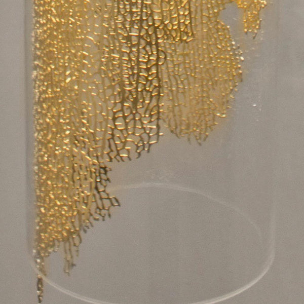 Terzani Frame Design-Wandlampe goldfarben mit filigranem Korallenblatt in Borosilikatglas