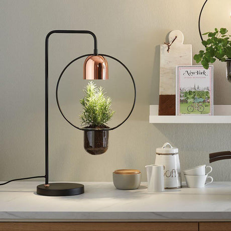 Bordlampe plantebelysning Neordic Fanja svart, kobber med stueplante i Urban Jungle-stil.