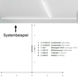 VIGO System LED-Netzteil inkl. Dimm-Modul max. 60W  Helestra   