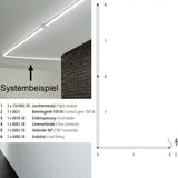 VIGO System LED-Netzteil inkl. Dimm-Modul max. 60W  Helestra   