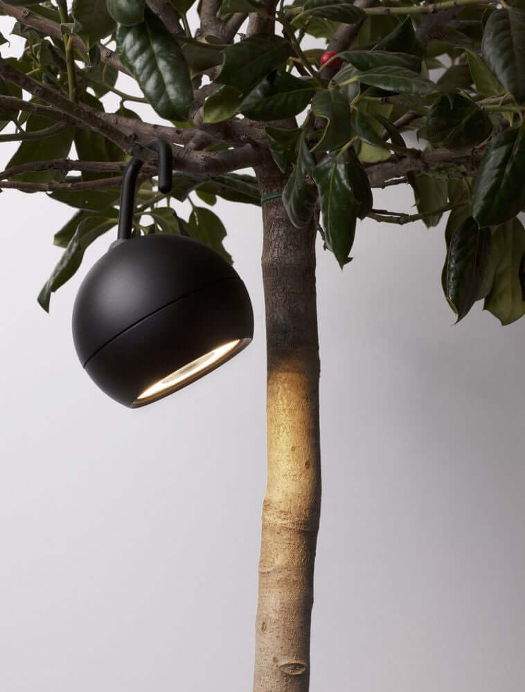 Venedo LED Außenhängeleuchte 3000K Schwarz IP54, elegante Leuchte hängt an einem Baum.