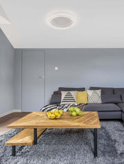 Willow LED Deckenleuchte Ø 45cm 33000K, gold-matte LED Deckenleuchte für modernes Wohnzimmer mit Aluminiumrahmen