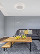 Edles Wohnzimmer mit Willow LED Deckenleuchte, Sofa und Holzkaffeetisch, stilvolles modernes Design.