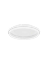 Lámpara de techo LED de sauce Ø 45cm 33000K