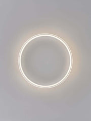 Willow LED Deckenleuchte Ø 60cm 53000K, gold-matte runde Deckenlampe mit weißem Kunststoffglas