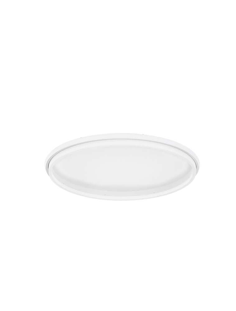 Lámpara de techo LED de sauce Ø 60 cm 53000K