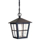 Outdoor pendant light Canterbury 1-light glass IP43 Black (1)