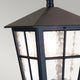 Outdoor pendant light Canterbury 1-light glass IP43 Black (4)