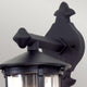 Outdoor wall lantern Hereford 1-light Black 15x31cm (2)