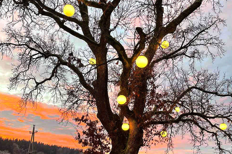Beleuchteter Baum mit leuchtenden Kugeln bei Sonnenuntergang, idyllische Atmosphäre und warme Farben.