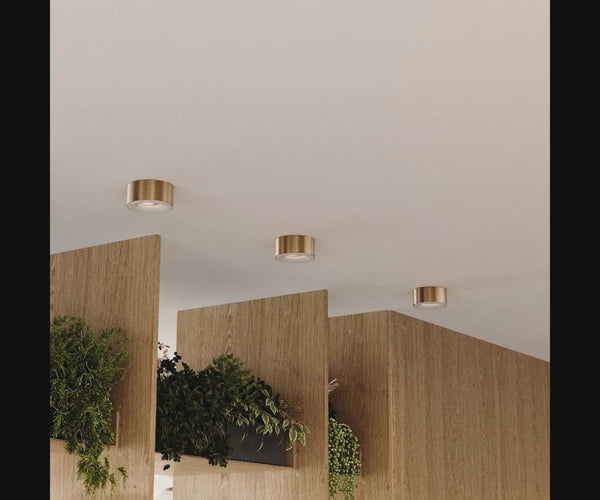 Moderne LED-Deckenstrahler in Gold, montiert an einem minimalistischen Holzdecke mit Pflanzen.