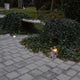Runder Level Bodeneinbaustrahler in gepflastertem Garten, umgeben von Efeu und sanften Lichtern.