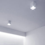 La luce del soffitto di struttura di Madra