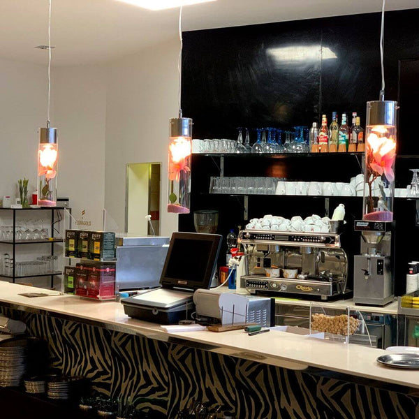 s.luce MyLight Hängeleuchte mit Schauzylinder 40cm im Café mit dekorativen Füllungen und stilvoller Beleuchtung
