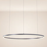 s.luce Ring 100 LED hanglamp direct 5m