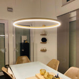 s.luce Ring 100 LED hanglamp direct