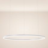 s.luce LED-pendel med ring Ø 100 cm