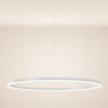 s.luce LED Ring Lampe à suspendre Ø 100cm