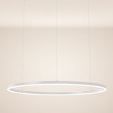 s.luce LED ring pendant lamp Ø 100cm