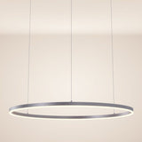 s.luce LED ring pendant lamp Ø 100cm