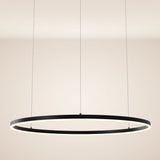 LED Ring Pendellampe Ø 100cm  s.luce Schwarz  