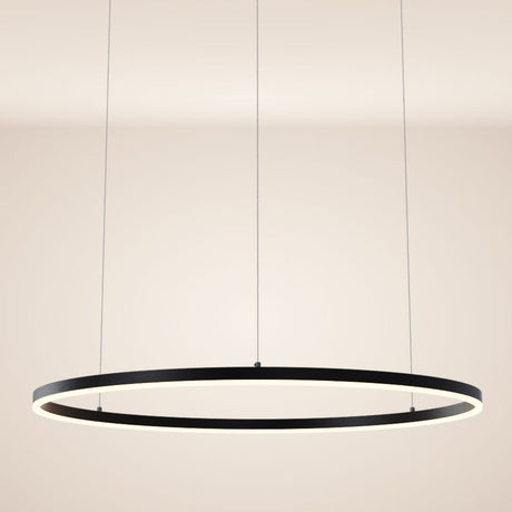 s.luce LED Ring Pendellampe Ø 100cm