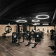 Moderne Fitnessstudio-Atmosphäre mit s.luce Ring Hängeleuchte und Fitnessgeräten.
