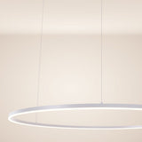 LED ring hanging light Ø 120cm