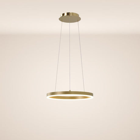 Ring 40 LED hanging lamp Direct