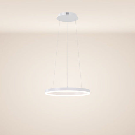 Ring 40 LED hanging lamp Direct