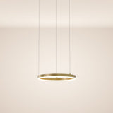 LED ring pendant light Ø 40cm