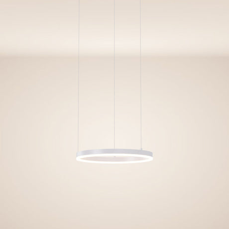 s.luce LED Ring Lampe suspendue Ø 40cm