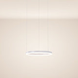 s.luce LED-pendel med ring Ø 40 cm
