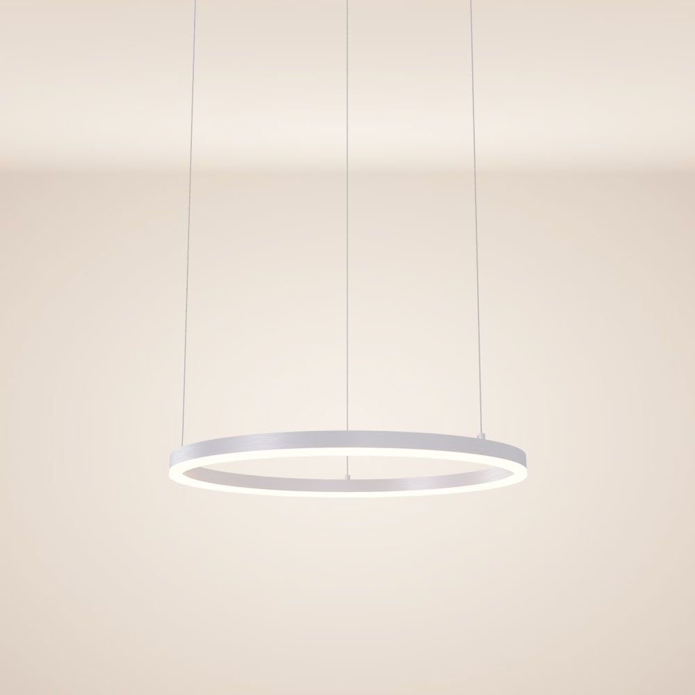 Ring 60 LED hanging light Direct 5m