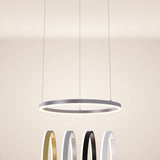 LED ring hanging light Ø 60cm