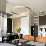 LED ring hanging light Ø 60cm