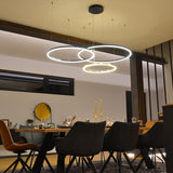 LED ring hanging light Ø 60cm